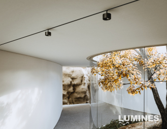 LUMINES GENESIS Magnetisches Licht RING+ 12 W 4000 K schwarz