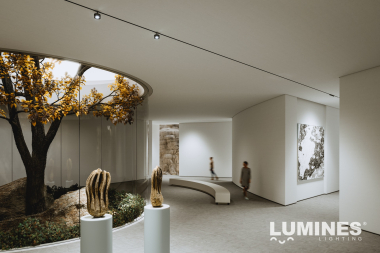 LUMINES GENESIS Magnetisches Licht RING+ 12 W 4000 K schwarz